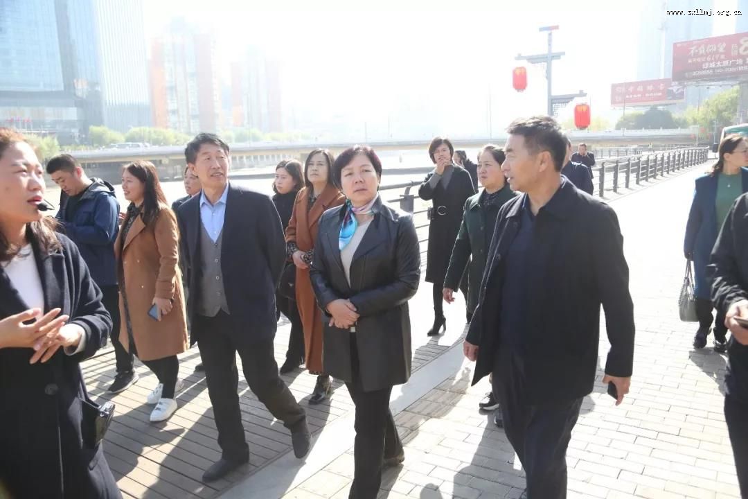 市政协民进界别开展“公共文化服务体系建设”专题调研