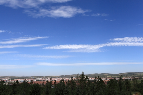 ίӰѧֻ֯Աɷ